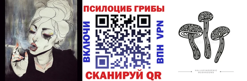 Галлюциногенные грибы Magic Shrooms площадка официальный сайт Щигры